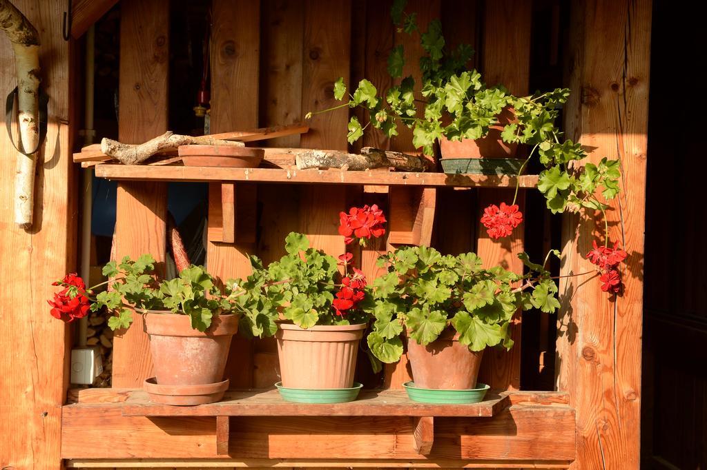 La Casa Al Noce Aparthotel Mezzana  Szoba fotó
