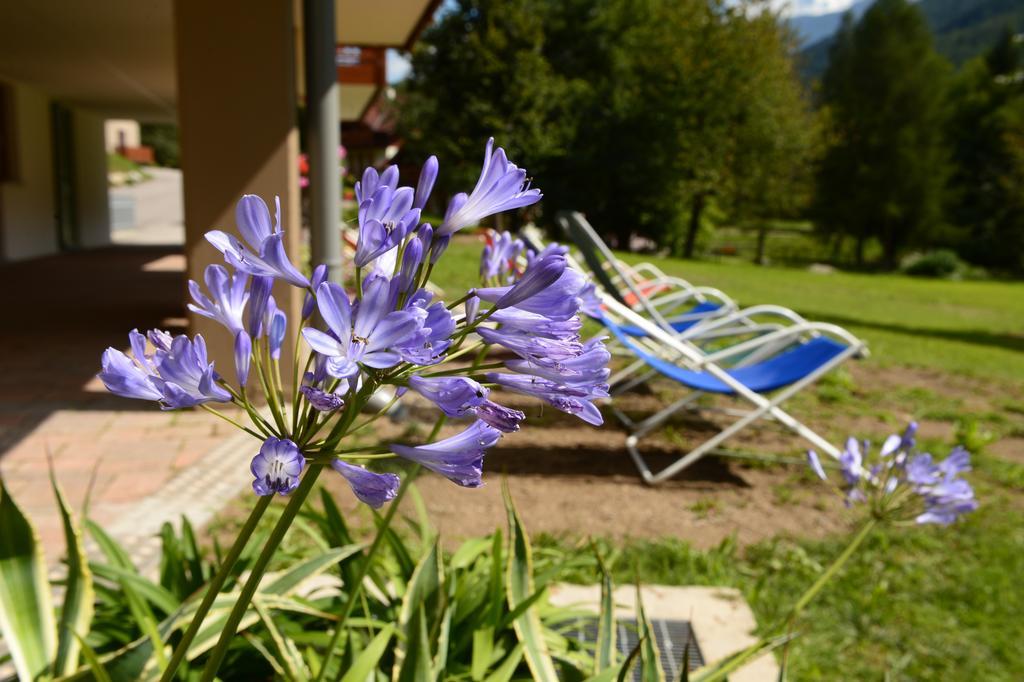 La Casa Al Noce Aparthotel Mezzana  Szoba fotó